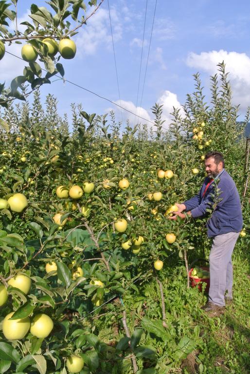 Agriturismo Bortolotti Pergine Valsugana Eksteriør billede